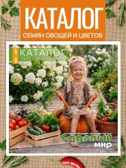 Каталог Семена 2026-2027 Каталог Семена 2026-2027