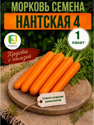 Морковь Нантская 4 Морковь Нантская 4