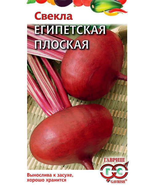 Свекла Египетская Плоская семена 