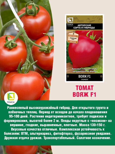 Томат Вояж F1 семена 