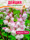 Дейция Кодсэл Пинк (шершавая)