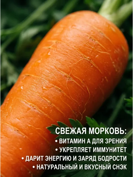 Морковь Купец семена 