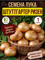 Лук репчатый Штуттгартер ризен Лук репчатый Штуттгартер ризен